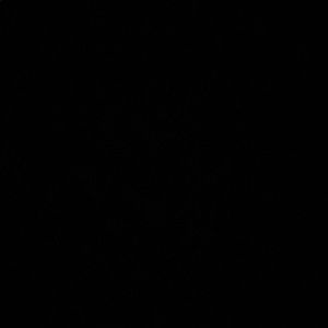 Meet your Posher, Henry